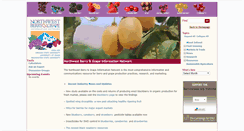 Desktop Screenshot of berrygrape.org